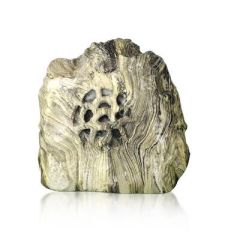 ROCK 306